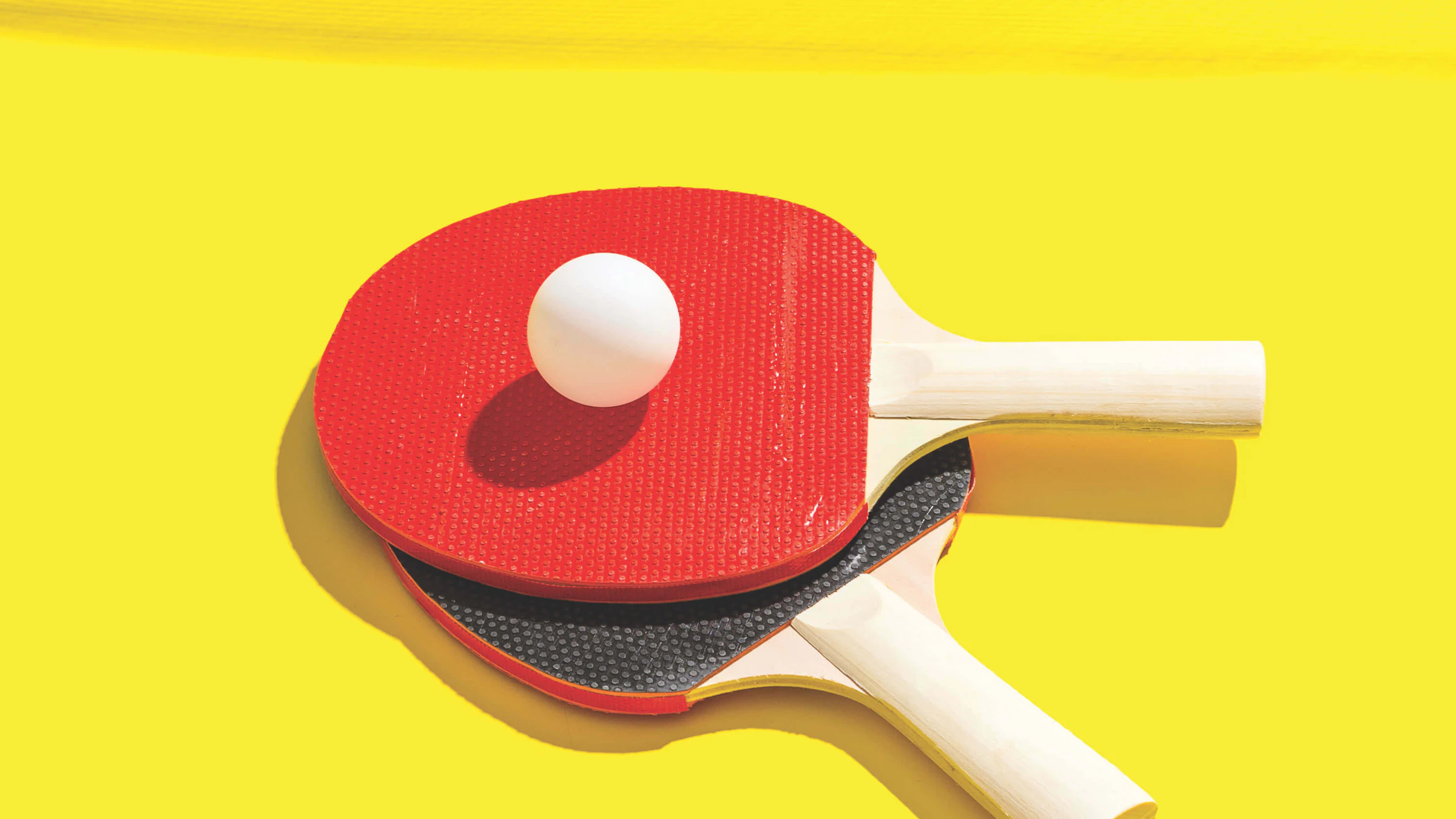 Table Tennis Paddles and Ball Active Adult Lifestyle Community