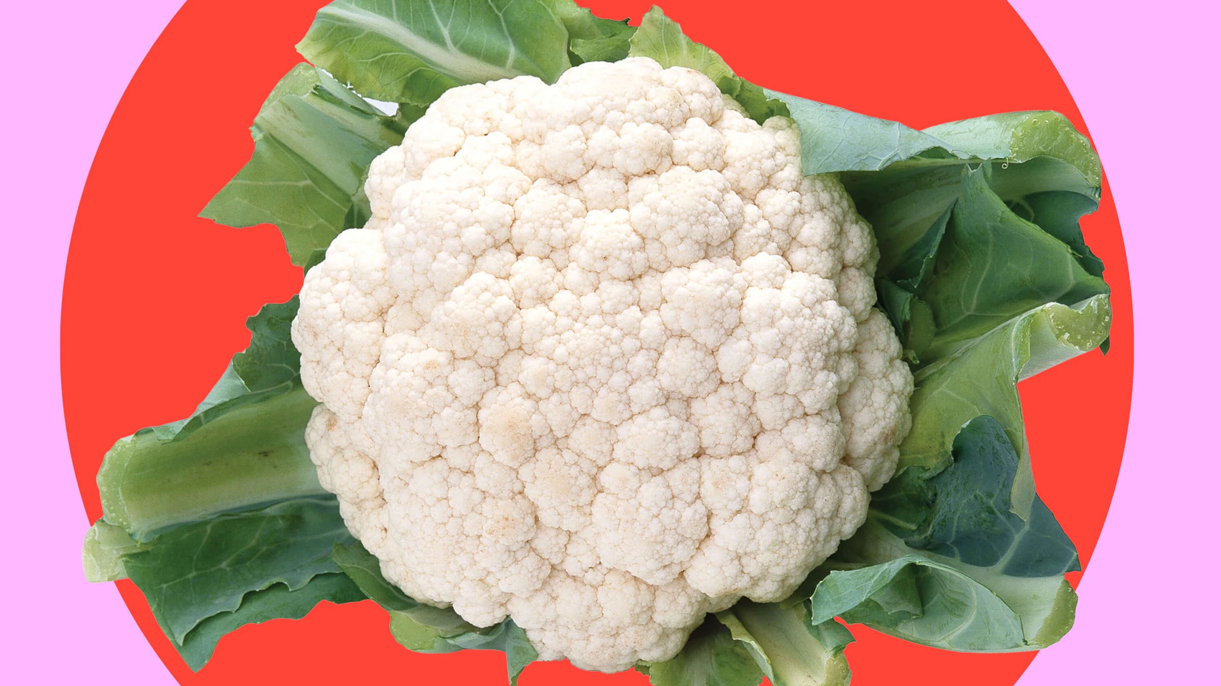 Lettuce and Cauliflower on Red and Pink Background