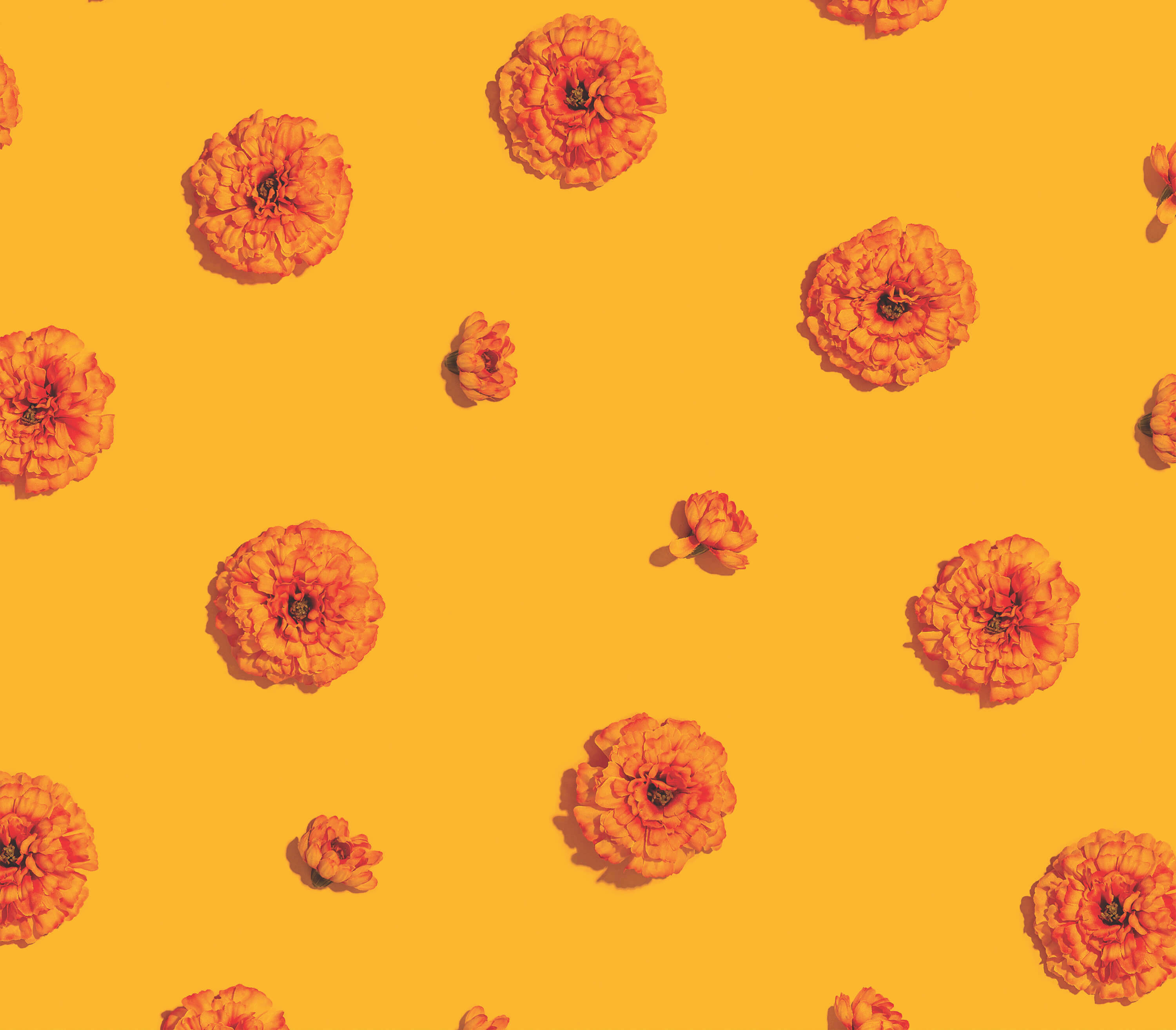 Orange Flowers on Dark Yellow Background Independent Living