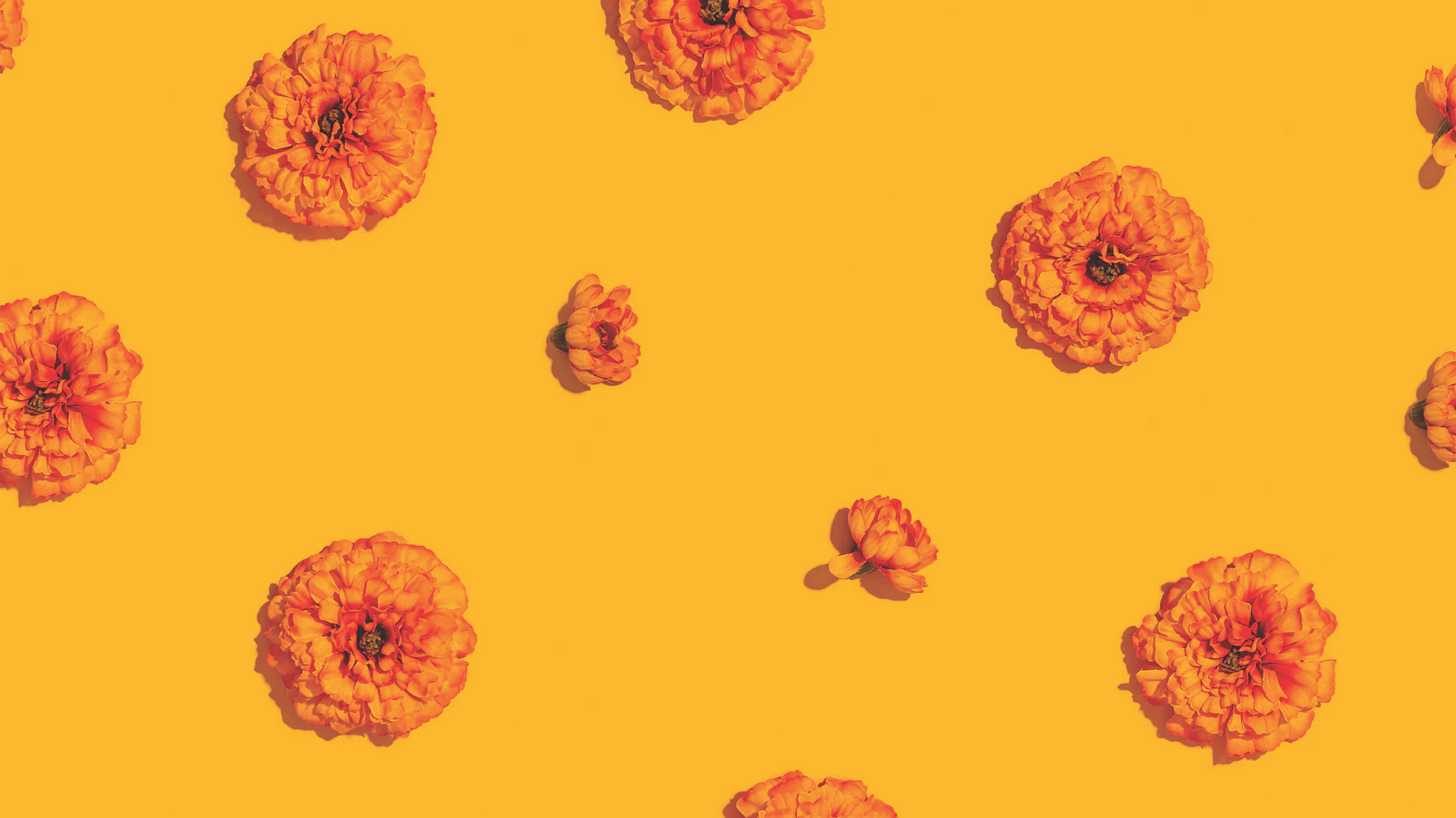 Orange Flowers on Dark Yellow Background Independent Living